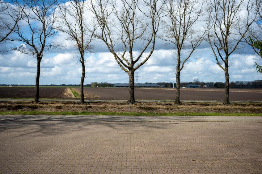 De Kibbelhoeve - foto 34