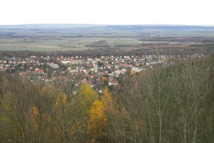 519958 - foto 19