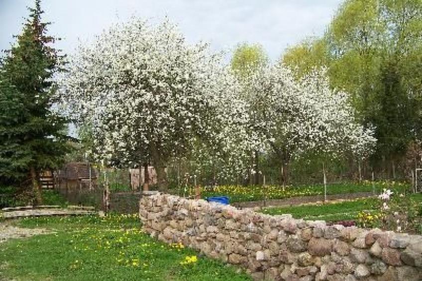 Zu den drei Schönen - foto 13