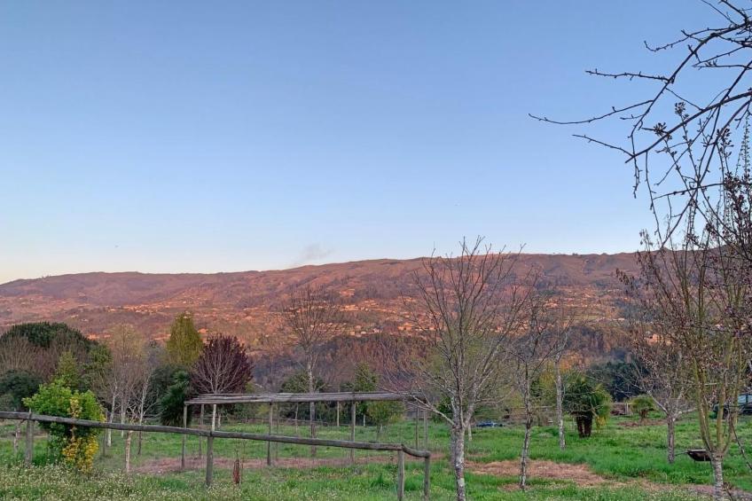 mit Blick auf das Wasser - foto 5