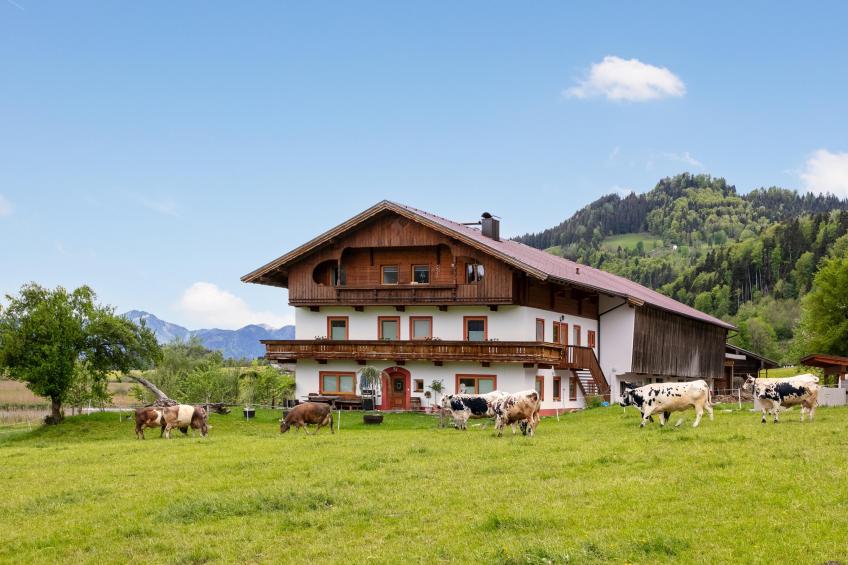 Marschbachhof Top 2 - foto 15