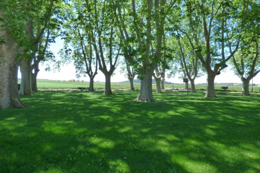 Le Ry de Chavan - foto 40