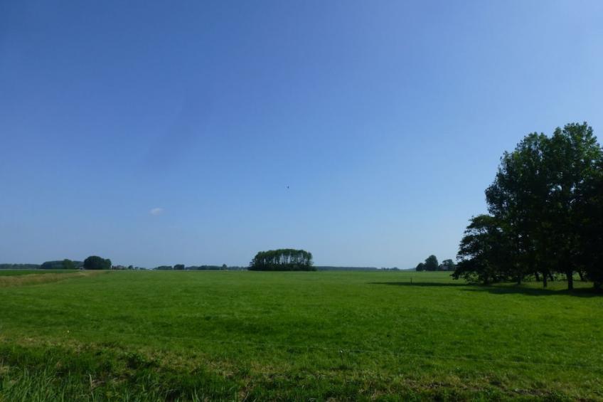 80865 - foto 18