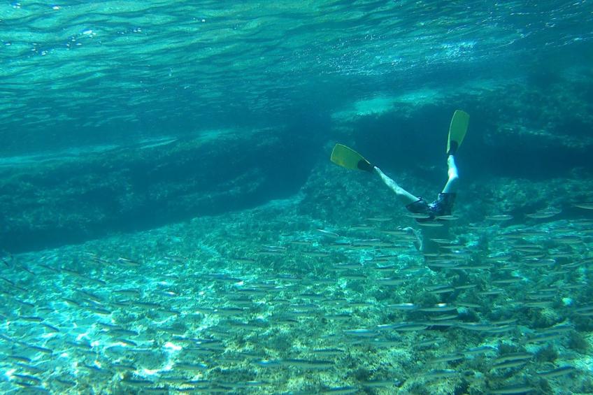 Luxuriöse, ruhige Wohnung direkt am Meer - Privatstrand - foto 54