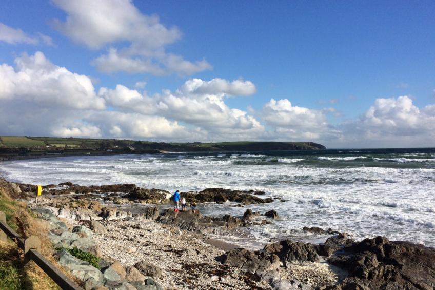 Forest Haven HH No 6 - foto 12