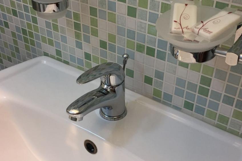 Flacher Franz - foto 13