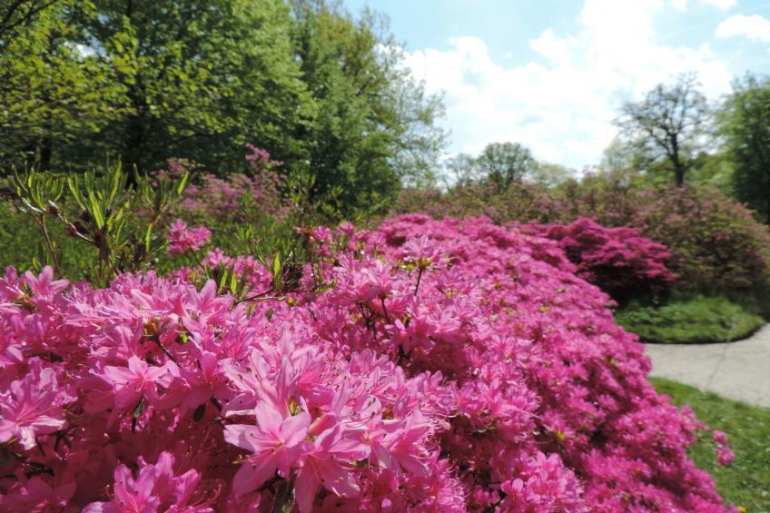 Dat luettje Huus 1 - foto 43