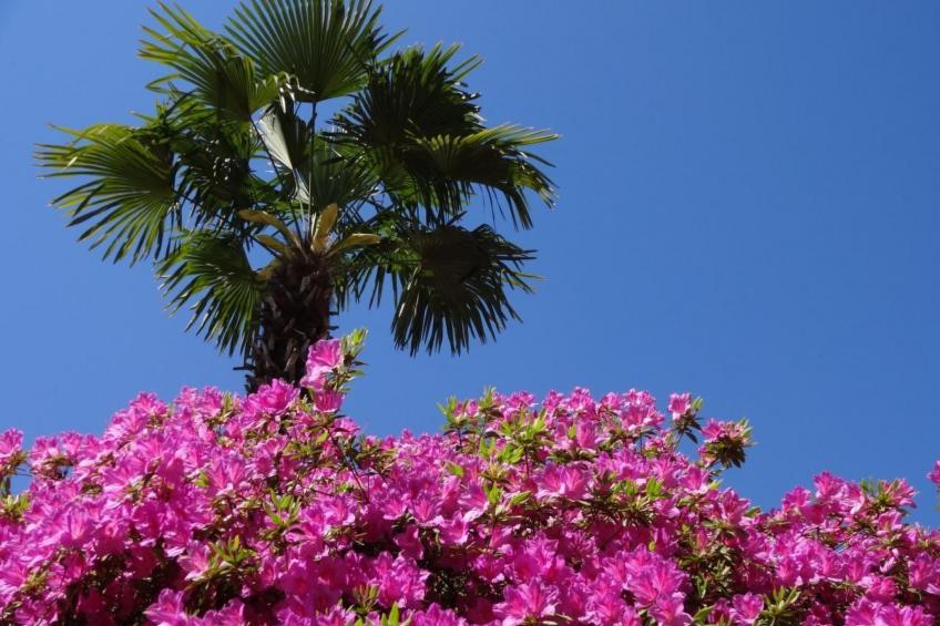 Öko-Haus B Schwimmbad Garten herrlicher Seeblick - foto 18