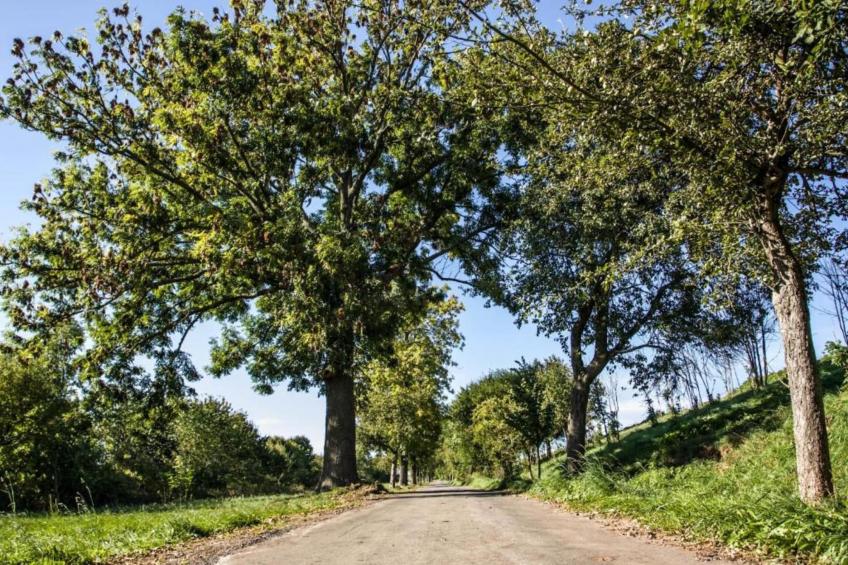 Im Erzgebirge - foto 23