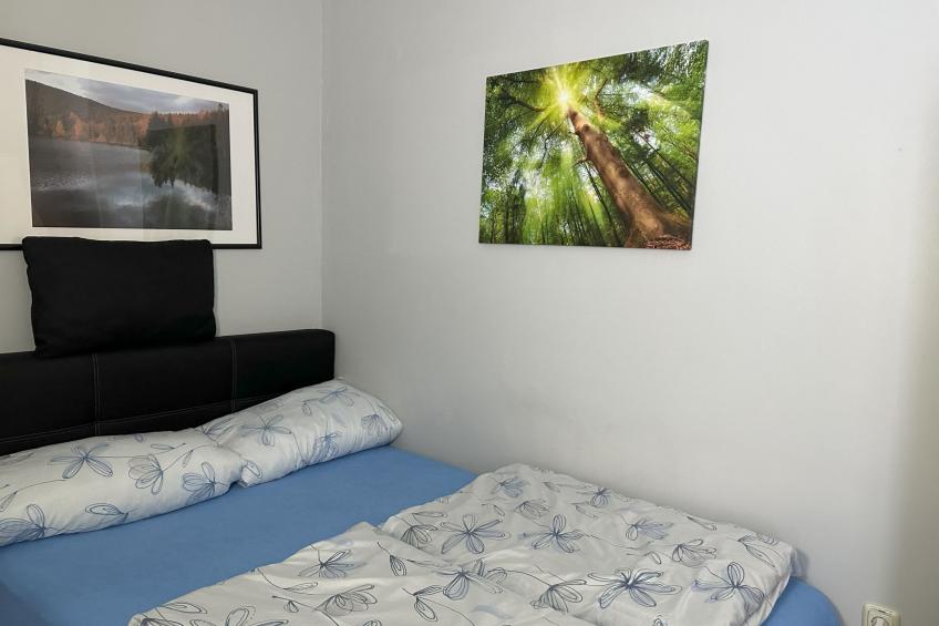 Feriendomizil Adler - foto 17