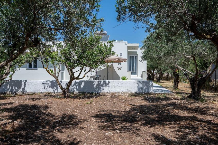 in einem Olivenhain in Strandnähe - foto 21