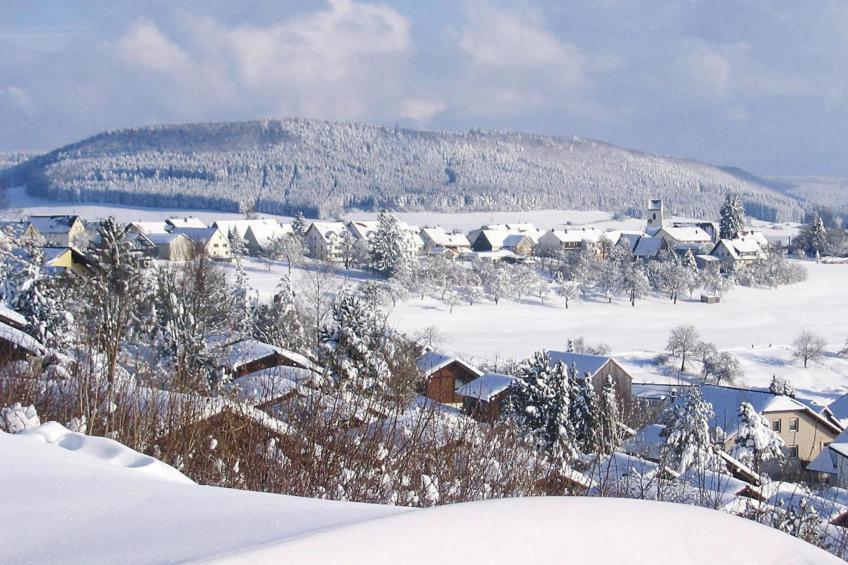 Holiday village Öfingen, Bad Dürrheim - Type B - foto 24