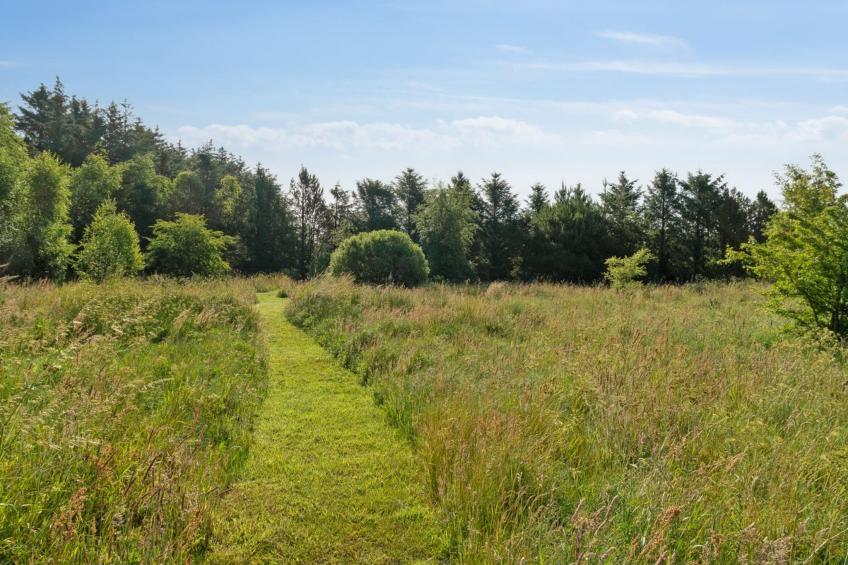 "Elsia" - 1.5km to the inlet in NW Jutland - foto 11