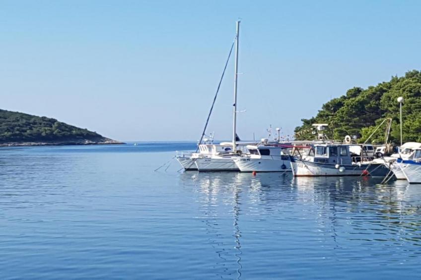 Tina & Denis - Apt Denis with Terrace and Garden - foto 37