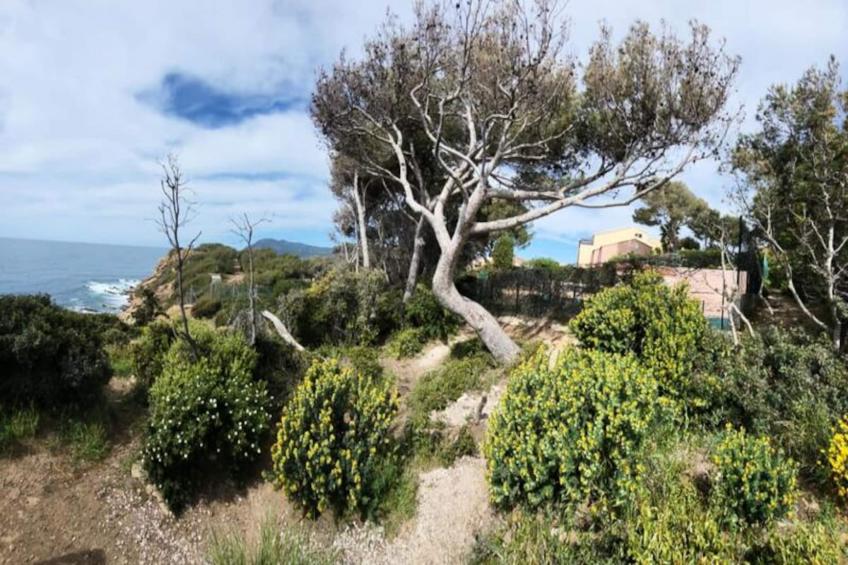 Vue Mer Imprenable, T3, Loggia, 6 Pers, Piscine, Tennis, Parking - foto 43