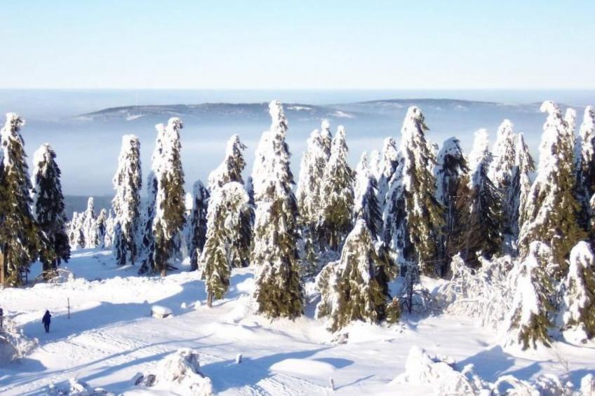 am Weißenstädter See - foto 22