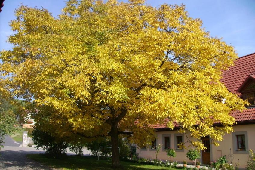 261038 - foto 27
