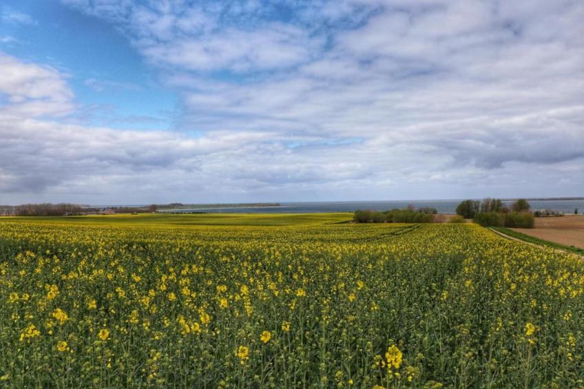 Haus Sonnenbucht - foto 39