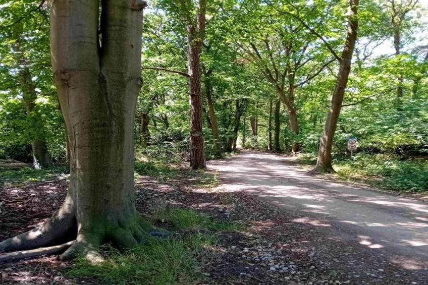 't Landgoed Baars 1 - foto 28