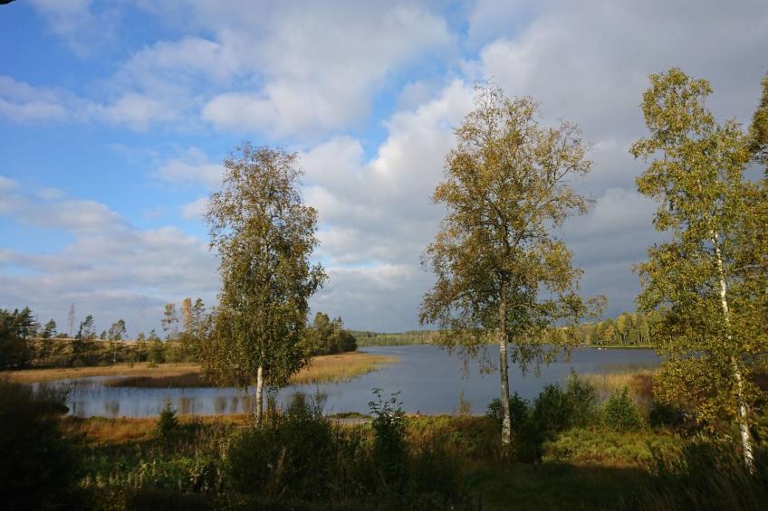 Saxarsviken - foto 36