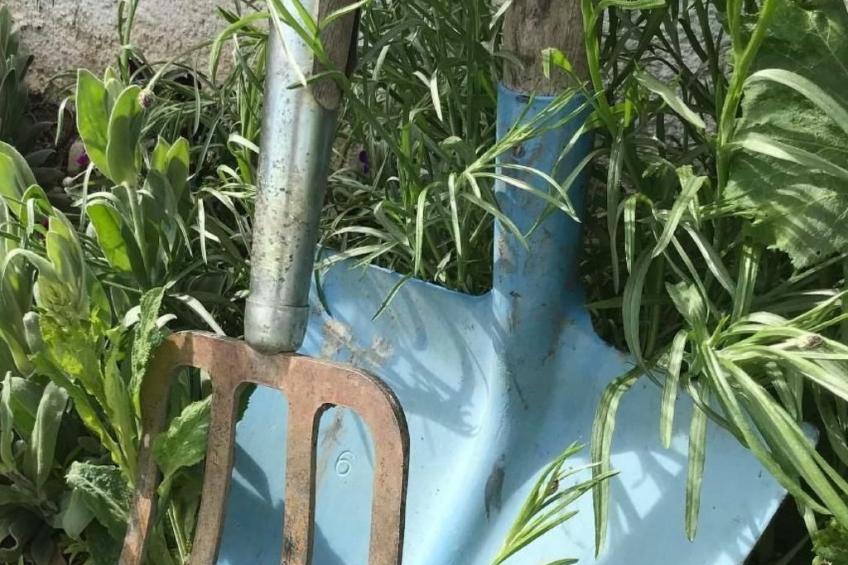 Scheftenau - foto 18