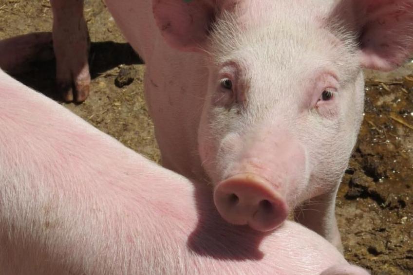 Burehof Waltrigen - foto 7