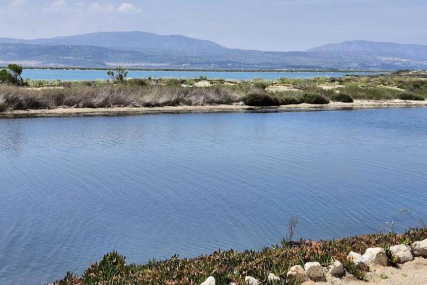 Résidence Hawai 1 - foto 12