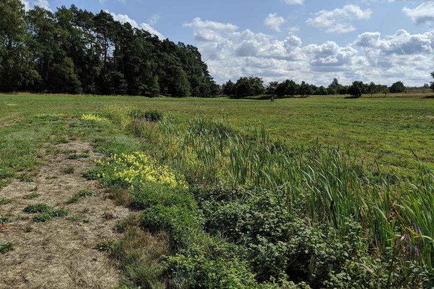 Vakantieresort Van der Valk, Linstow - Type C - foto 22