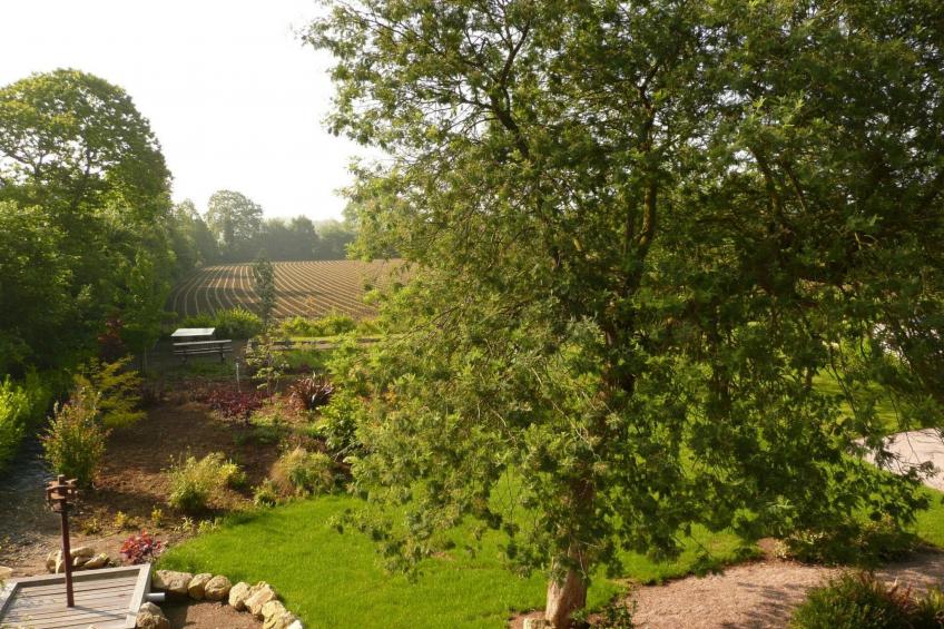 Die Scheune des Vaters - foto 3