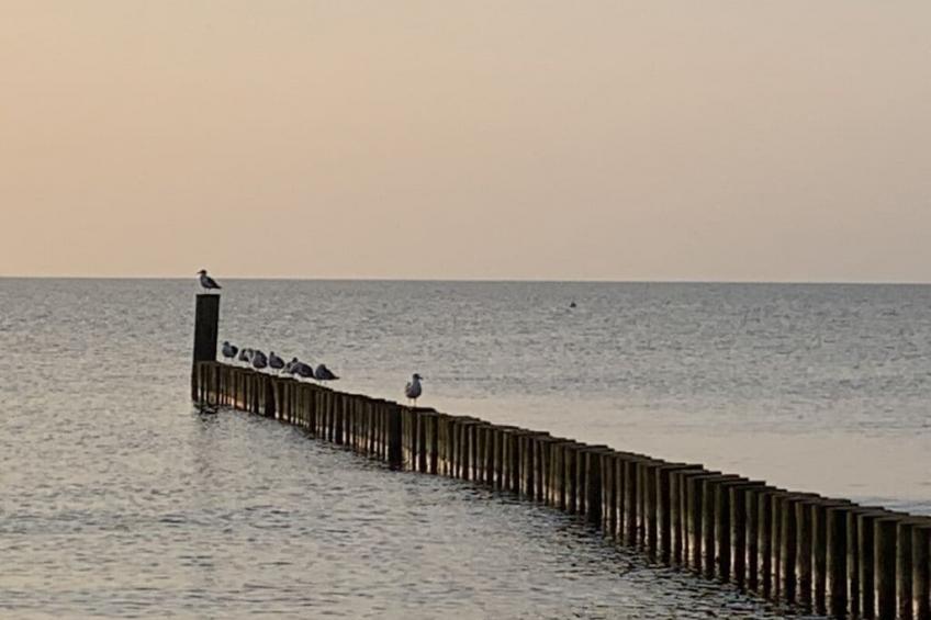 185537 - foto 39