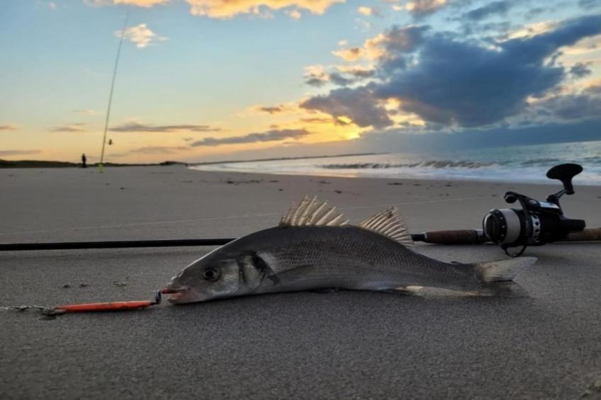 Roompot Beach Resort 21 - foto 22