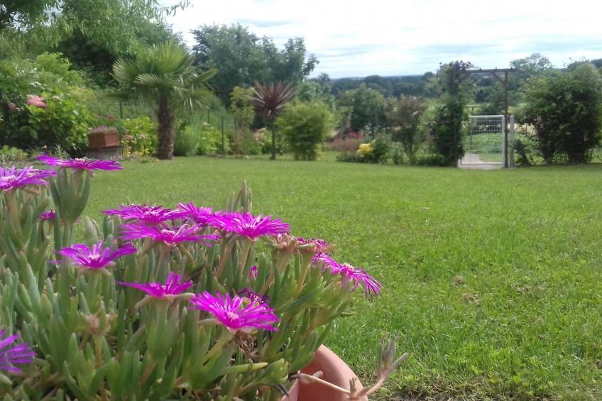 Gite Pamphilienne mit Blick auf Mont Saint Michel - foto 25