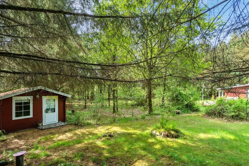 "Deik" - 2km to the inlet in The Liim Fiord - foto 4