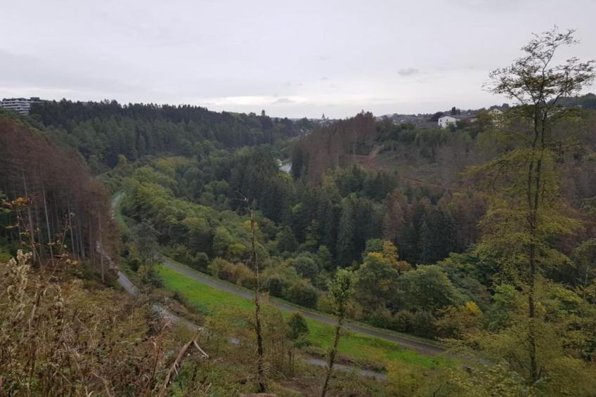 Bergresort Winterberg - foto 19