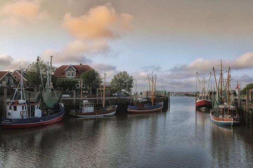 Haus Hanni - foto 36