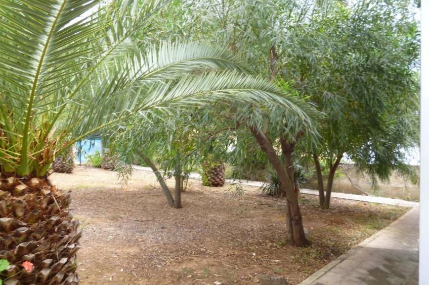 Wohnung in einer Residenz, nur wenige Meter vom Meer entfernt - foto 16