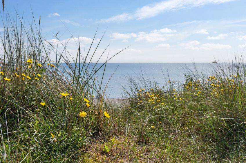 "Rother" - 50m from the sea in Lolland, Falster and Mon - foto 27