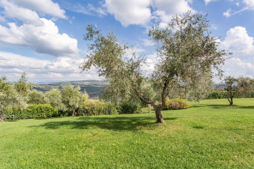 IL QUERCETO PRIMA - foto 26