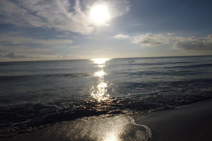 Villa Miramonte - foto 39