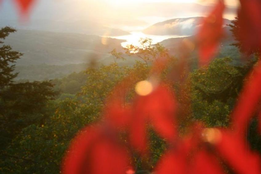 Anwesen mit eigenem Pool - foto 13