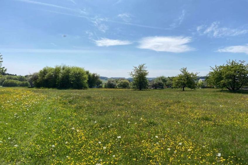 Bayerischer Wald - foto 39