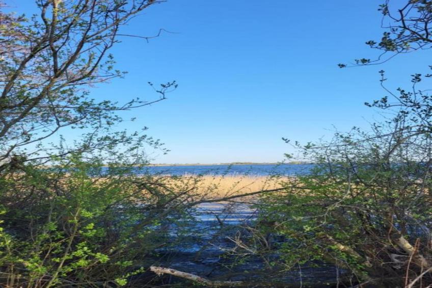 Aan de dwarsgracht - foto 31