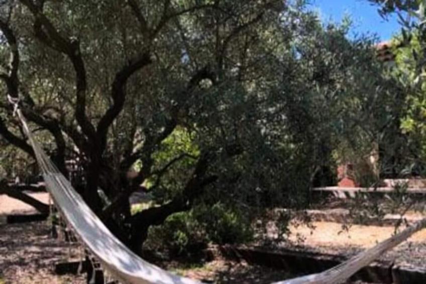 La Matina : Expérimentez Une Maison D'architecte - foto 47