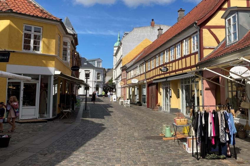 "Constance" - 50m from the sea in Funen - foto 6