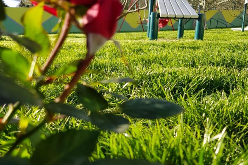 Villa Popovića Dvori -  Six Bedroom Villa with Pool - foto 183