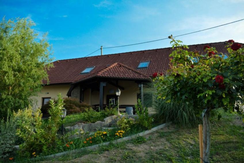 Zevnik Quiet Retreat with Stunning Views and Equestrian Activities - One Bedroom Apartment - foto 40