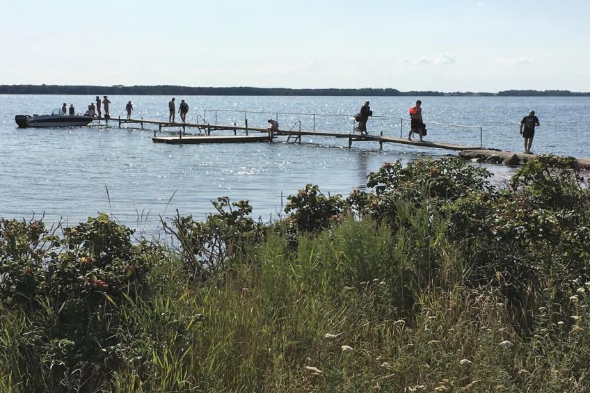 "Eddy" - 50m from the sea in Lolland, Falster and Mon - foto 8