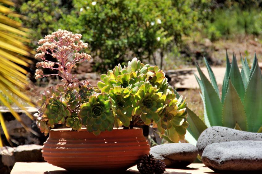 Villa Miramar - foto 34