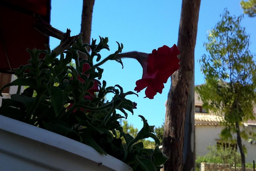 'Villa sul porto - foto 15