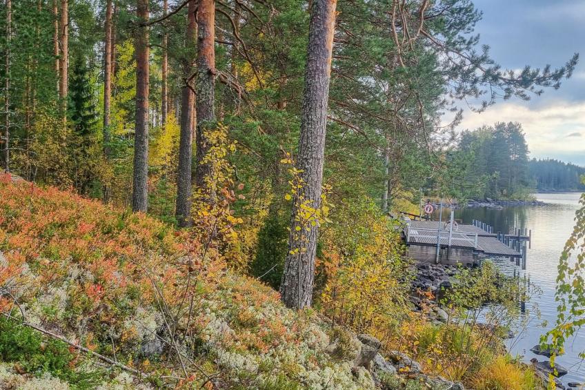 Unnukkamaja - foto 28